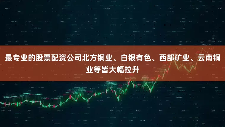 最专业的股票配资公司北方铜业、白银有色、西部矿业、云南铜业等皆大幅拉升