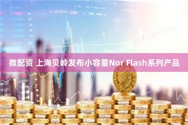 微配资 上海贝岭发布小容量Nor Flash系列产品