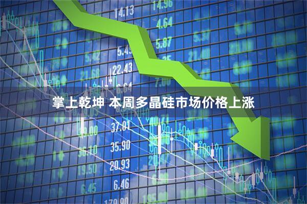 掌上乾坤 本周多晶硅市场价格上涨