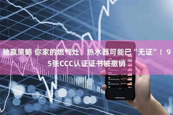 驰赢策略 你家的燃气灶、热水器可能已“无证”!95张CCC认证证书被撤销