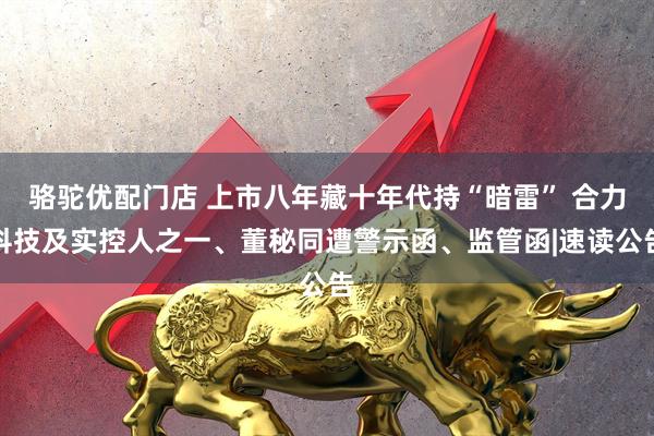 骆驼优配门店 上市八年藏十年代持“暗雷” 合力科技及实控人之一、董秘同遭警示函、监管函|速读公告